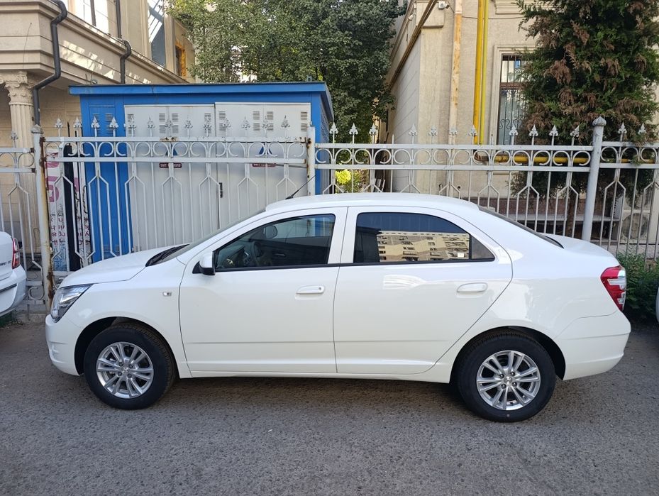 Cobalt bez probek Masla stayl 2025