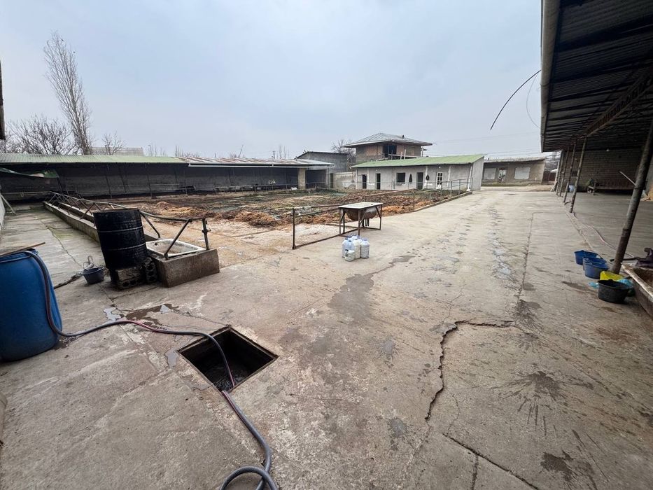 FERMA sotiladi Zangi ota