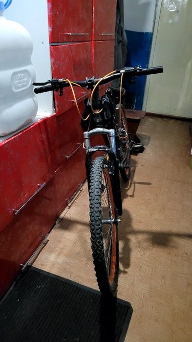 Велик Барс продам