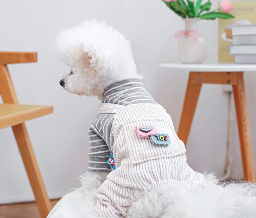 Дрехи за малко кученце