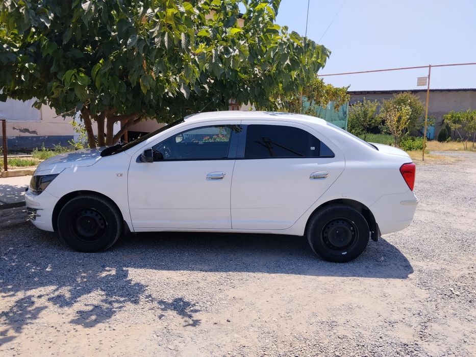 Cobalt 2019 Ravon