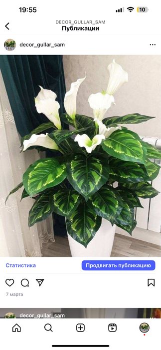 decor gullar sotiladi