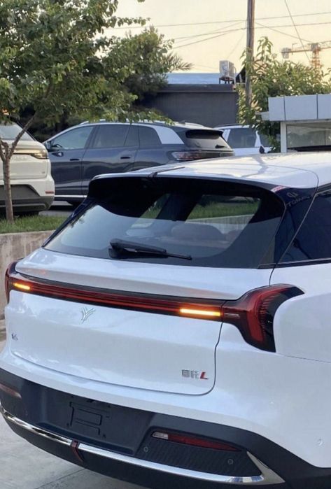 Neta L Gibrid 1 yil kafolat