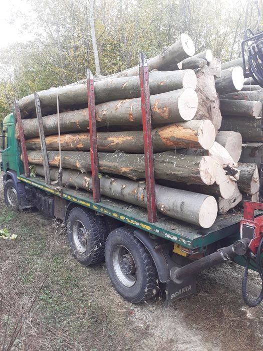 Lemne de foc esențe tari și moi