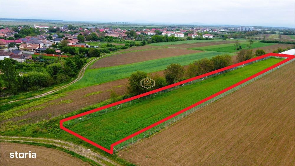 Teren 3.600 m² in Odoreu | 7 km de Satu Mare | 160 m de Principala