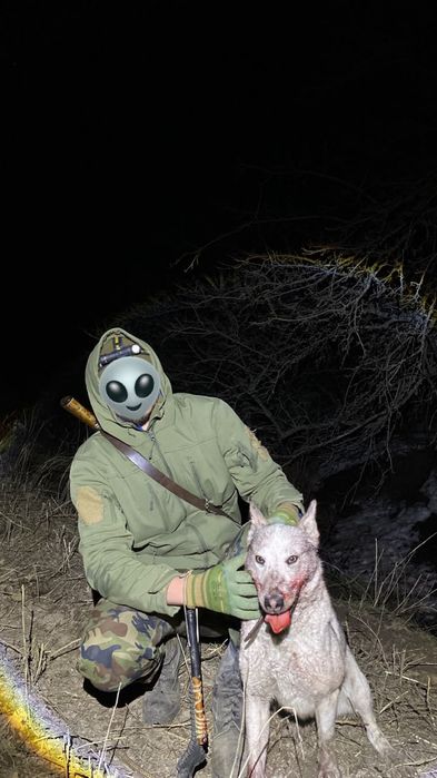 Продается сучка зсл!!