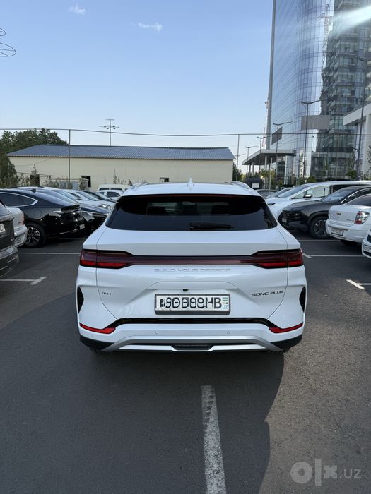 Byd chempion 2025