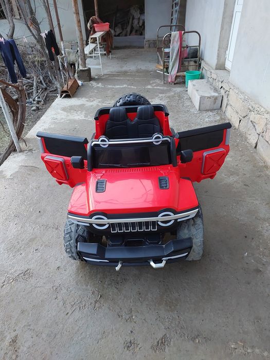 Detiski moshena pultlik