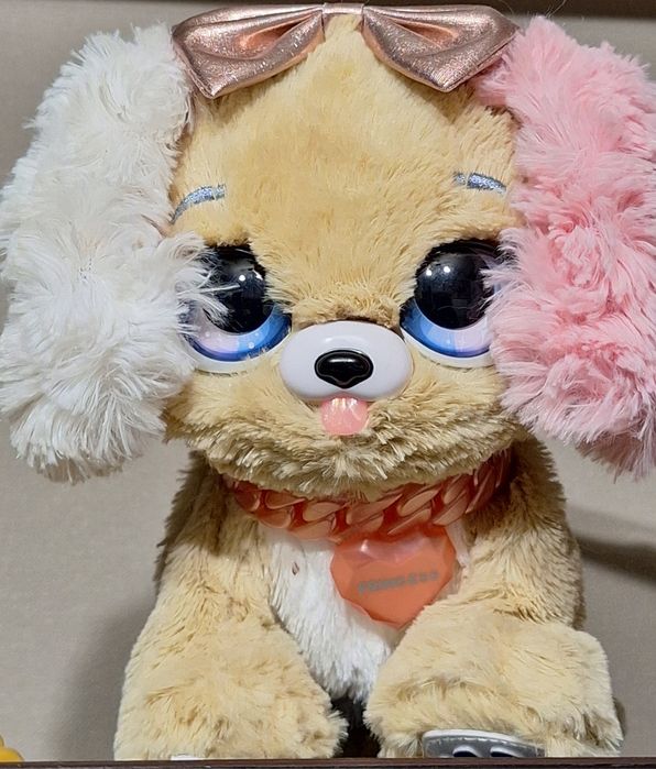 Catelus  interactiv present pets