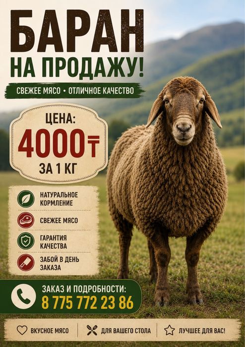 Токтылар сатылады