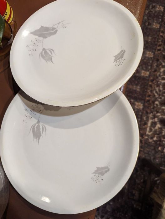 Продам большой чайный сервиз костяной фарфор