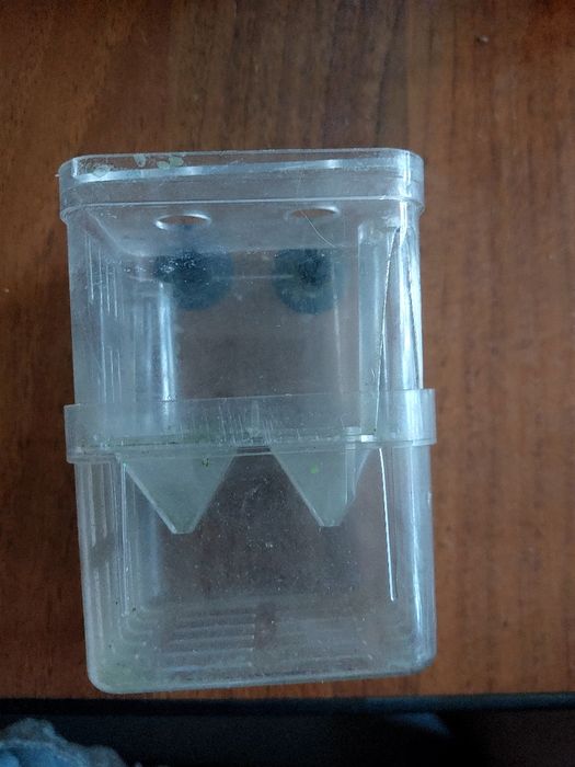 Отсадник для живородок