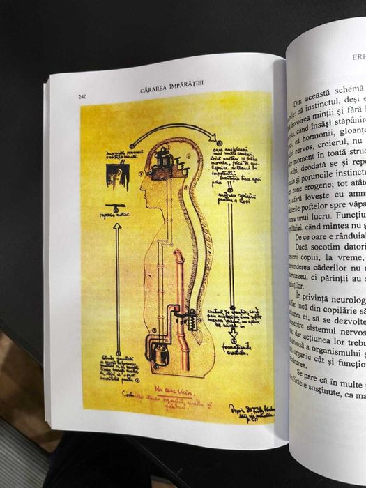 Carte Cărarea Împărăţiei - Arsenie Boca, ediția 2003