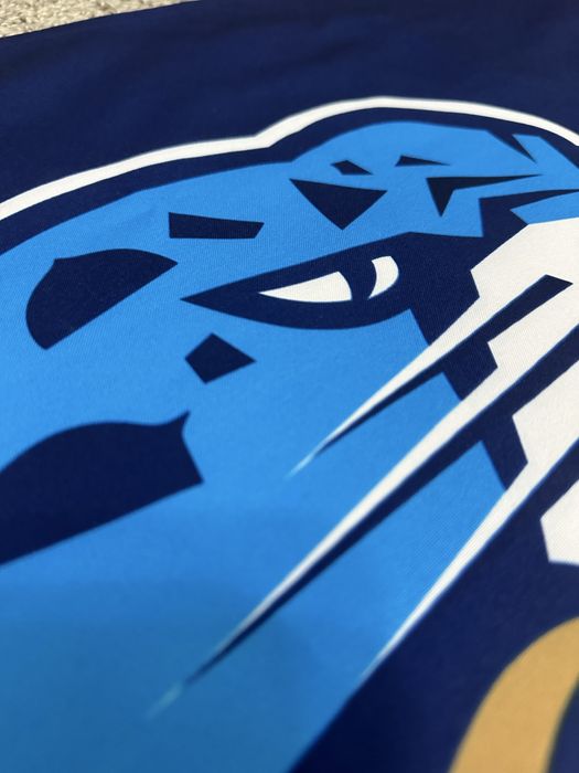 Hc Barys ХК Барыс флаг.