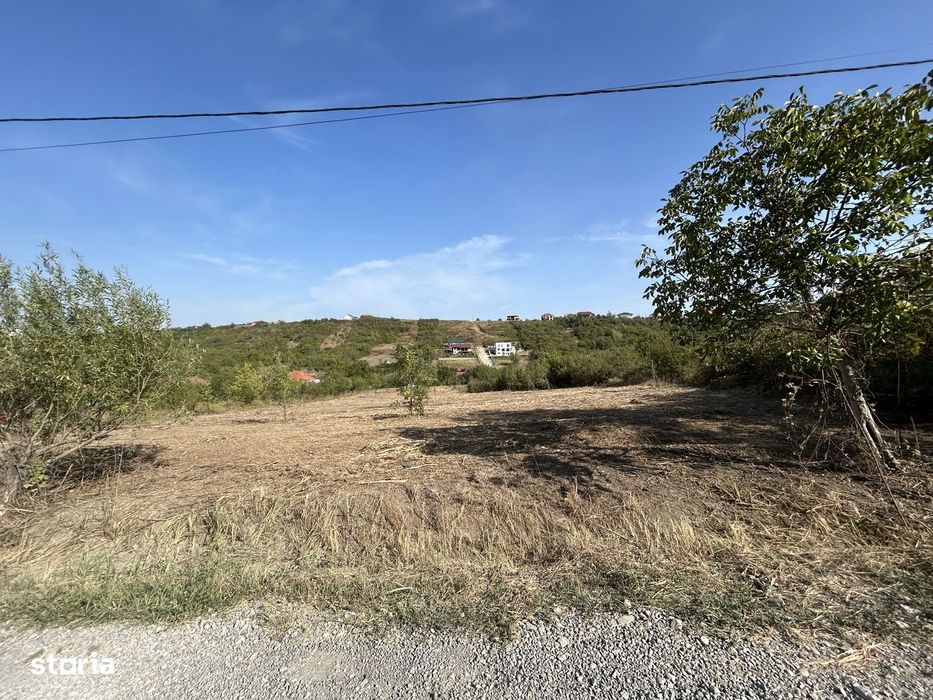 Teren intravilan  ,str Livezilor , 3280 mp