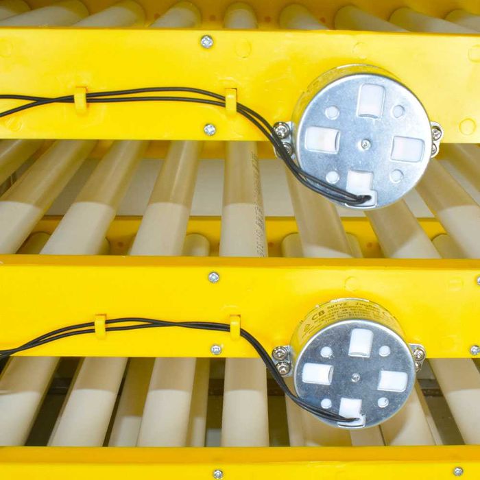 Професионален инкубатор, Люпилня Ms-300 яйца (12V/220V)