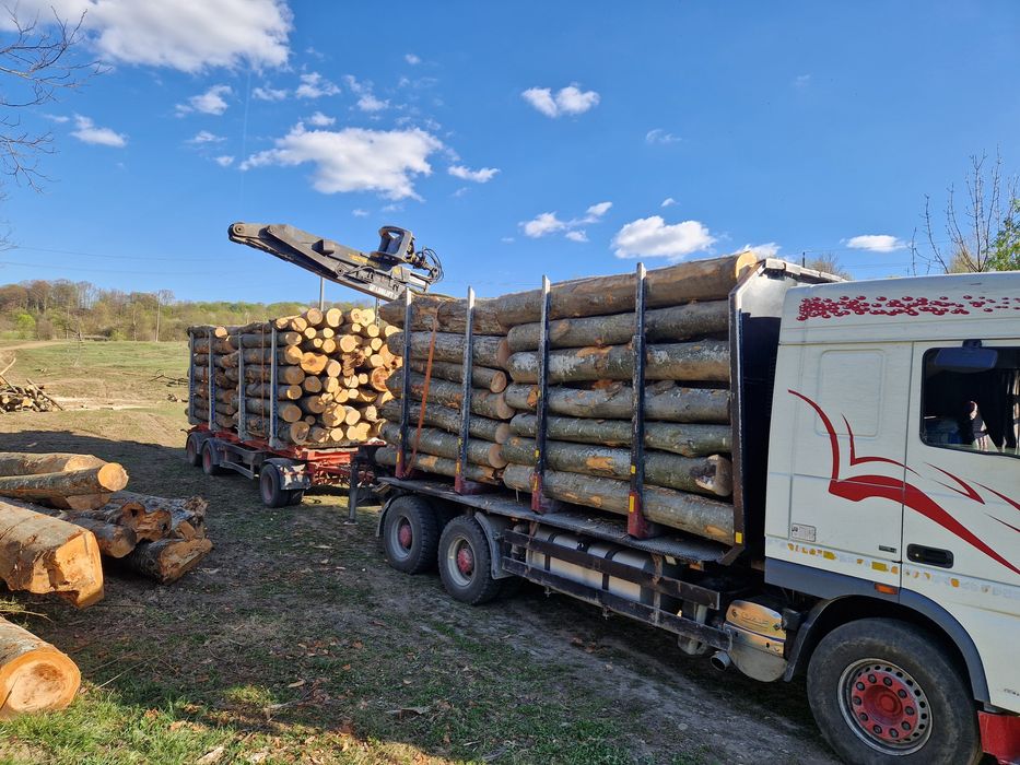 Lemn foc fag, transport inclus! Doar localitățile enumerate!tl