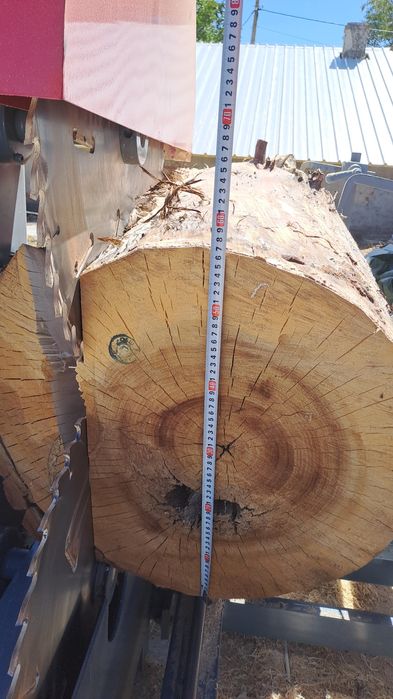 Дисков гатер банциг за разбичване на трупи -НОВ