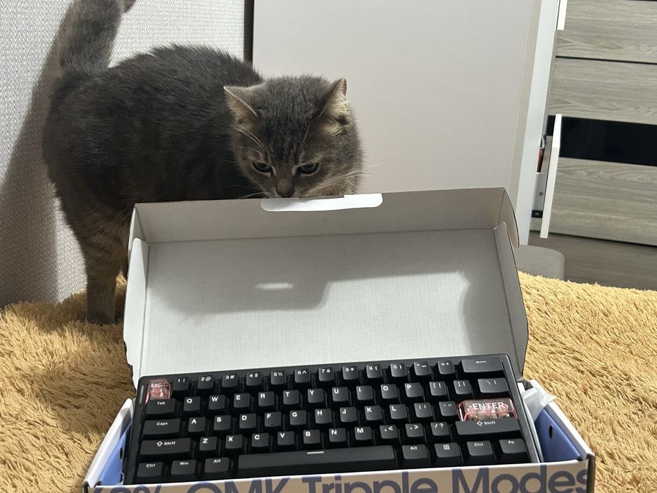 Клавиатура игровая cidoo qk61