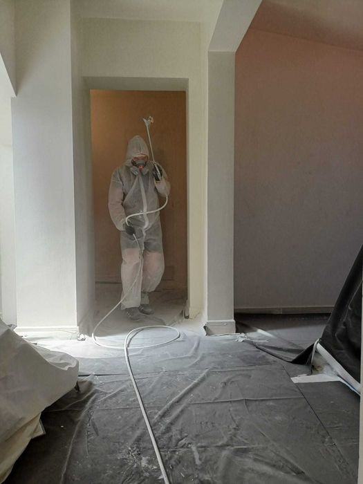 Zugrav/ Vopsea lavabila cu pompa Airless sau trafalet