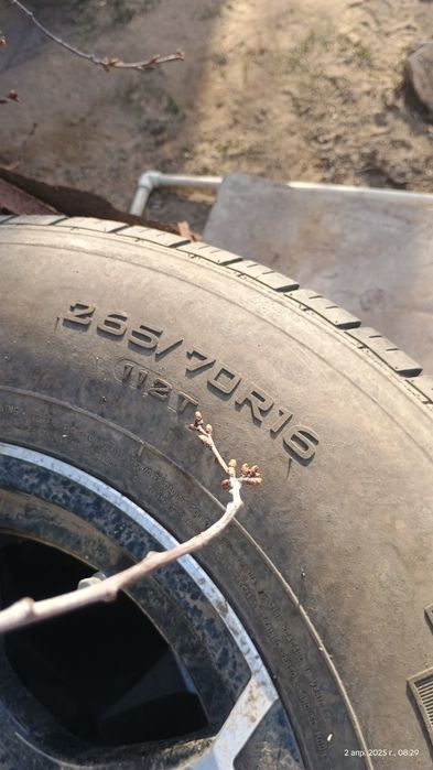Продам две покрышки летний