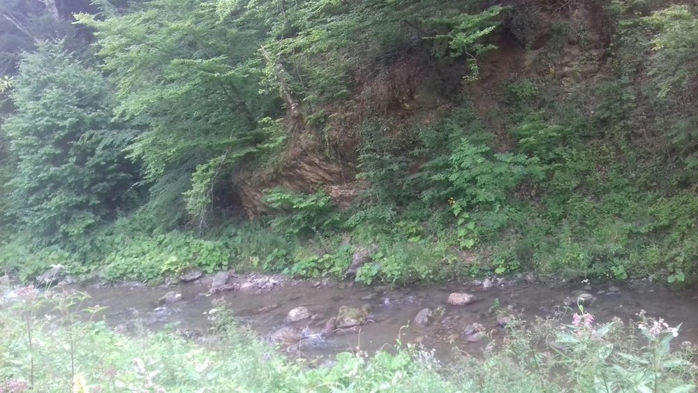 Teren în Apuseni,lângă șosea