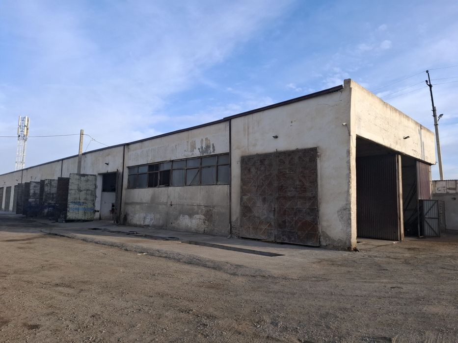 Бино тезда сотилади