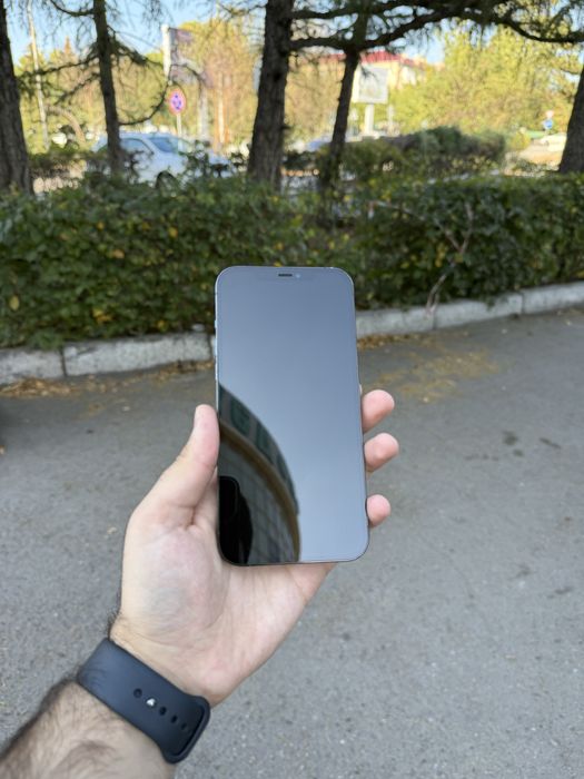 Iphone 12 Pro Max