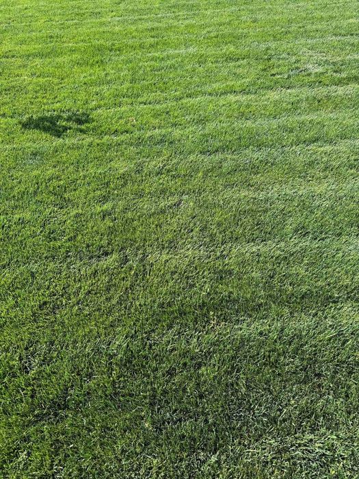 Автополив полив фонтан монтаж установка газон таййор