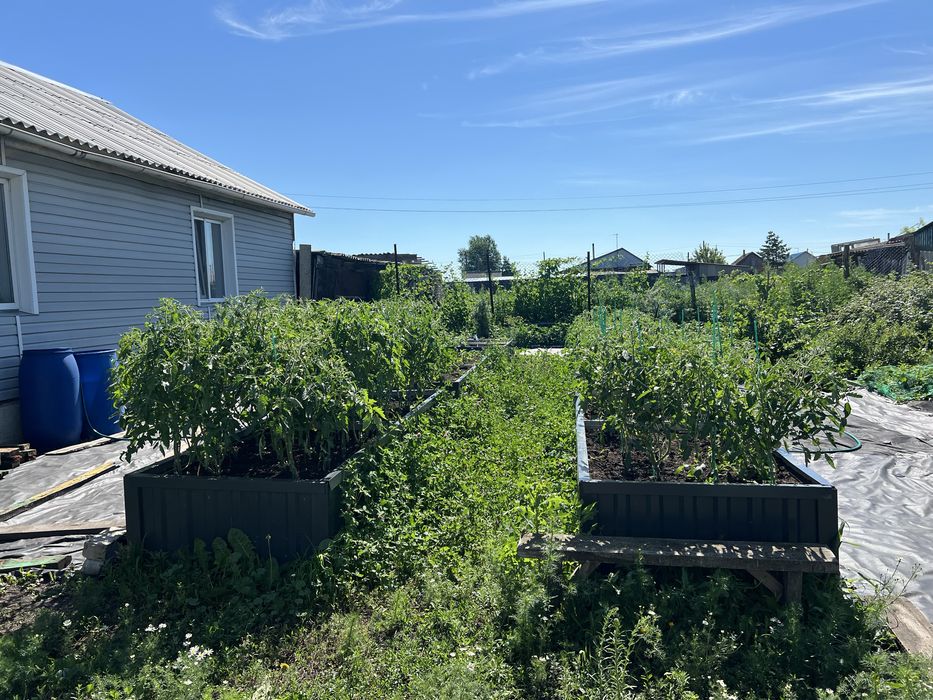 Продам дом село Архангельское
