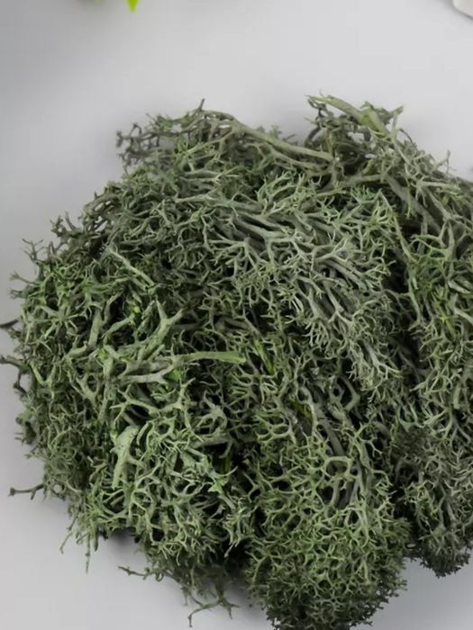 Мох стабилизированный для поделок 100 г