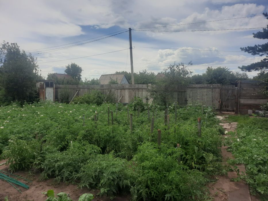 Продам дачу сад Мелиоратор