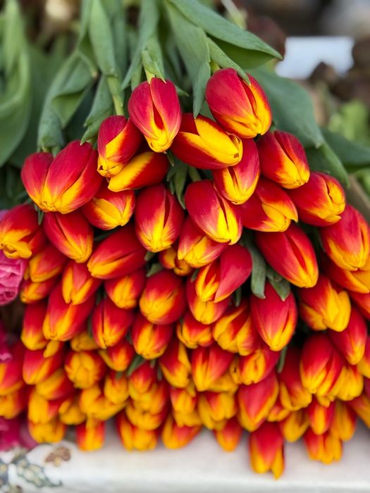 Цветы цветы  цветы