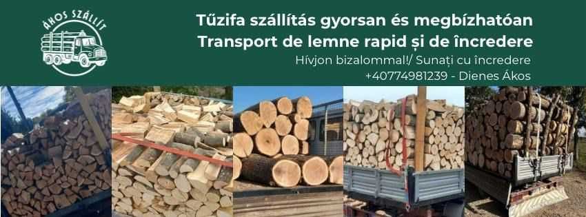 Lemne! JUD:BIHOR Esenta tare!!