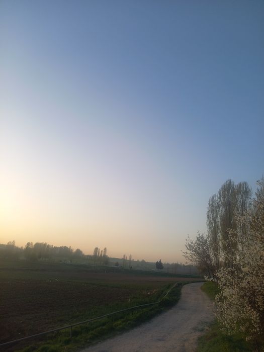 Ховли уй. Трасса буйида