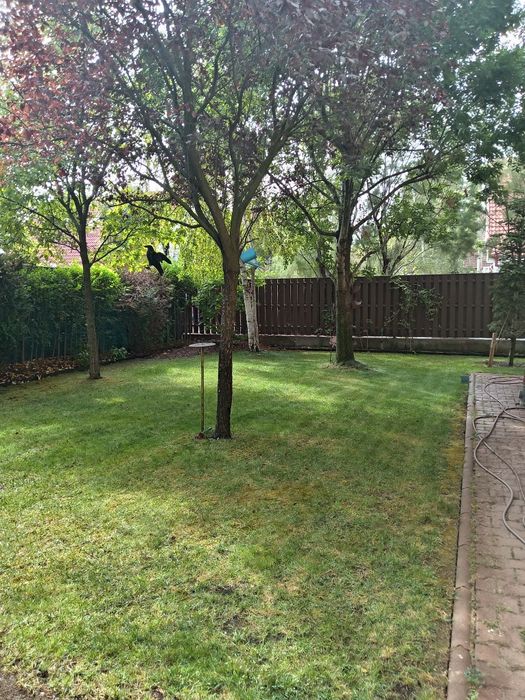 Ofer servicii de întreținere grădini și sisteme de  irigații