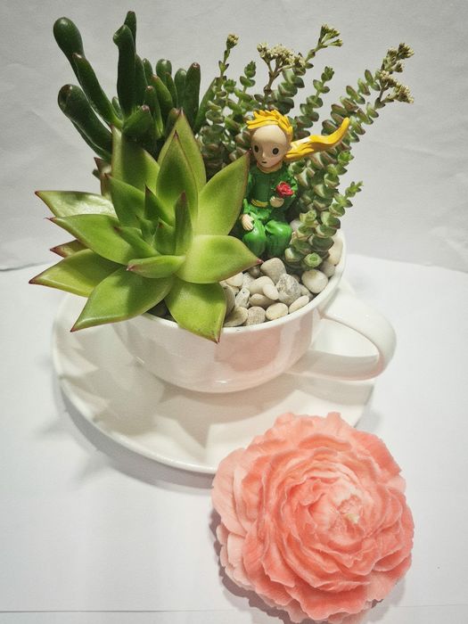 Свечи и флорариумы