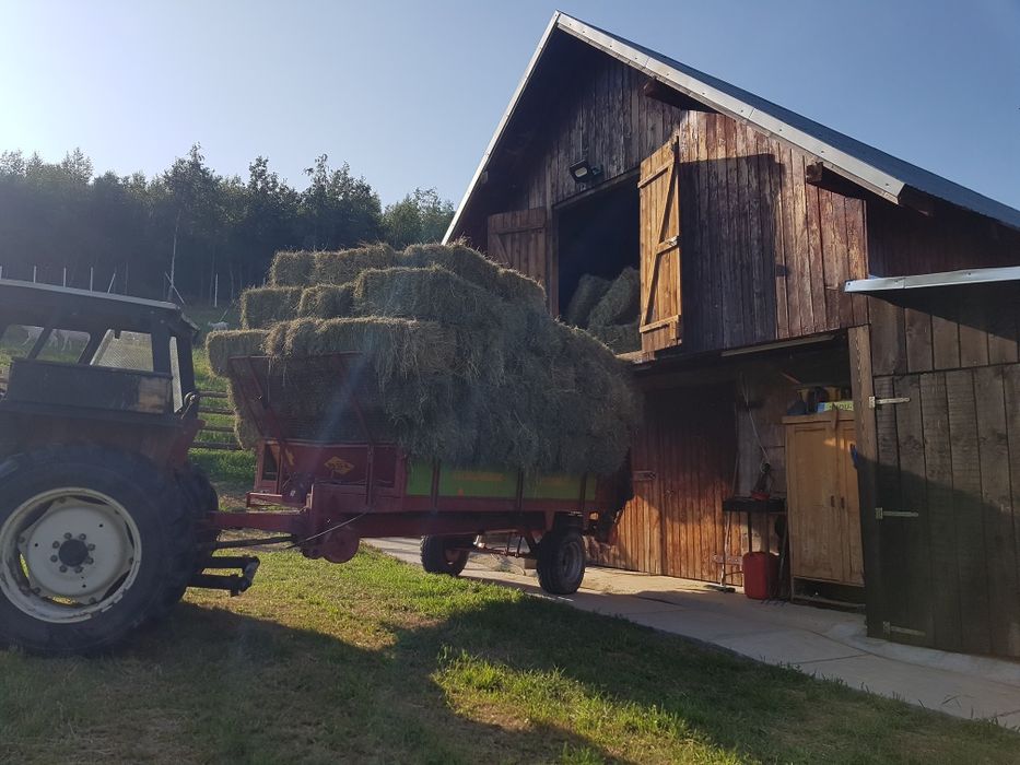 Fân ,otavă Calitate