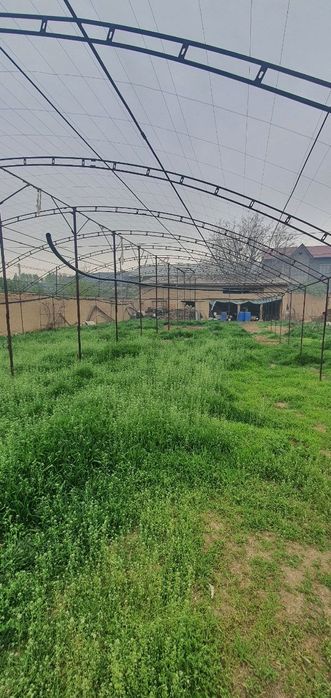 Продаётся 8 Соток Земли Кибрайский Район Ул. Алимова