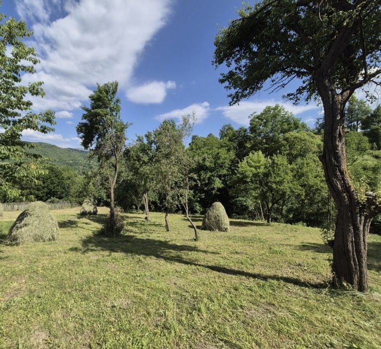 Vând 1200 mp  teren parcelabil in Valea Doftanei . Prahova