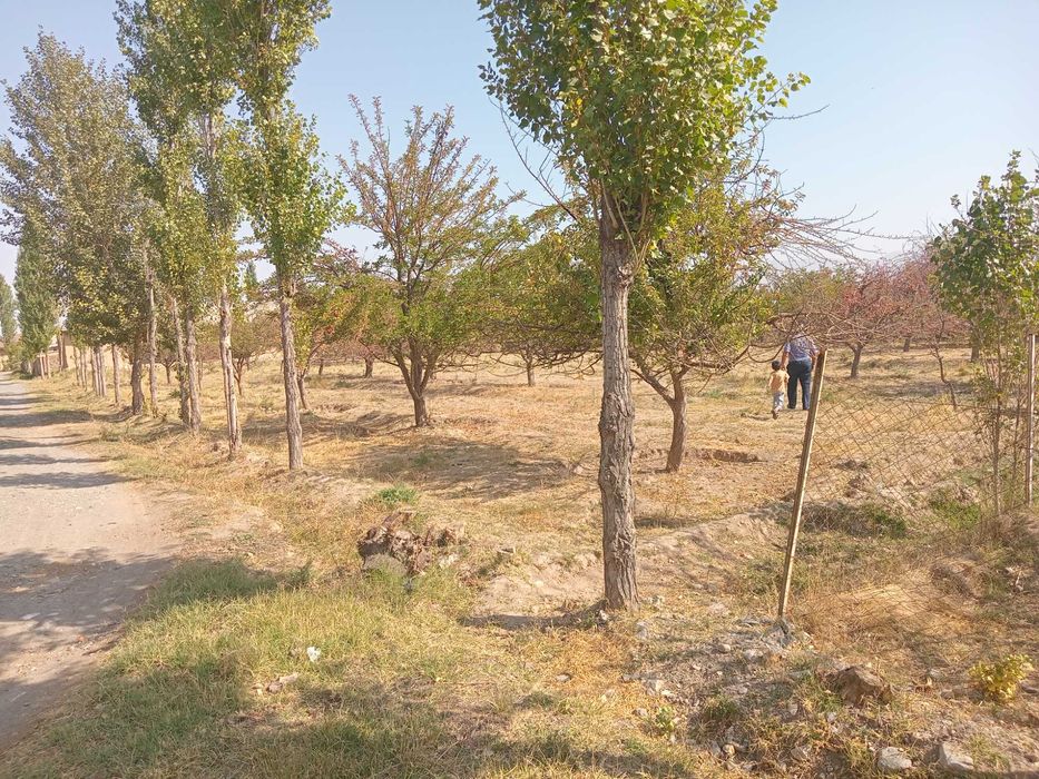 Новка кишлоги Уй ховли сотилади Участка 40 сотка