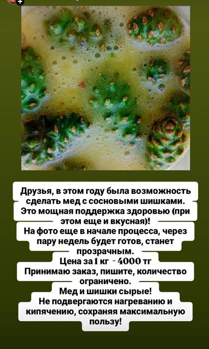 Сосновые шишки в меду