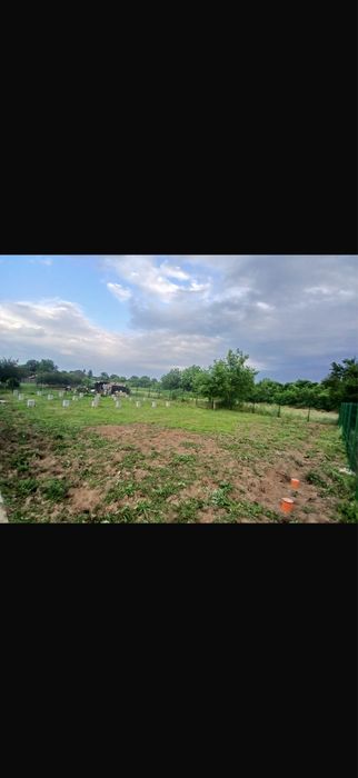 Teren Snagov aproape de padure de vanzare/inchiriere