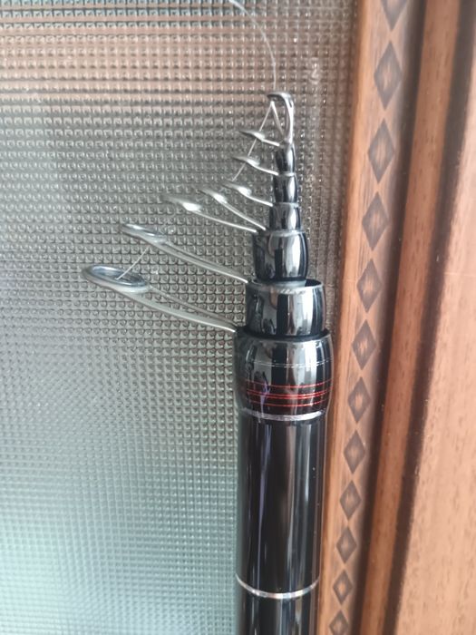 Daiwa amorphous power bolo 5m.bl
