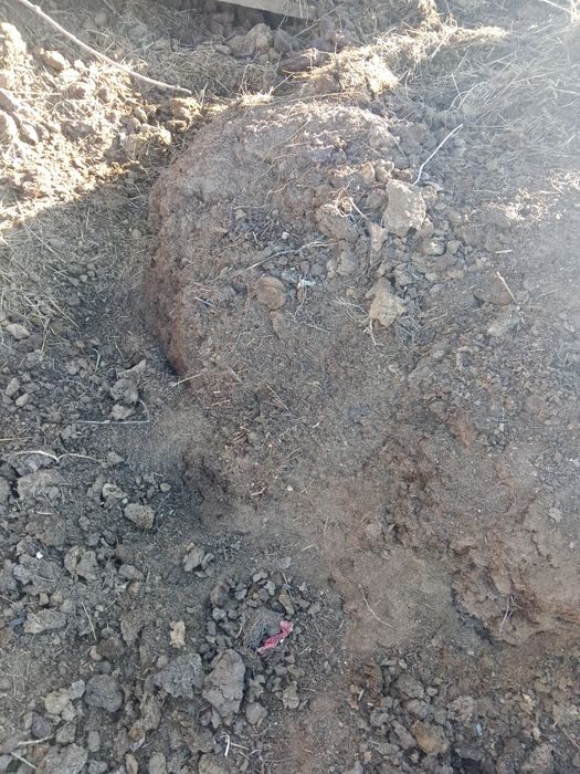 Продам навоз пос. Россоахоз мешок 200  тенге