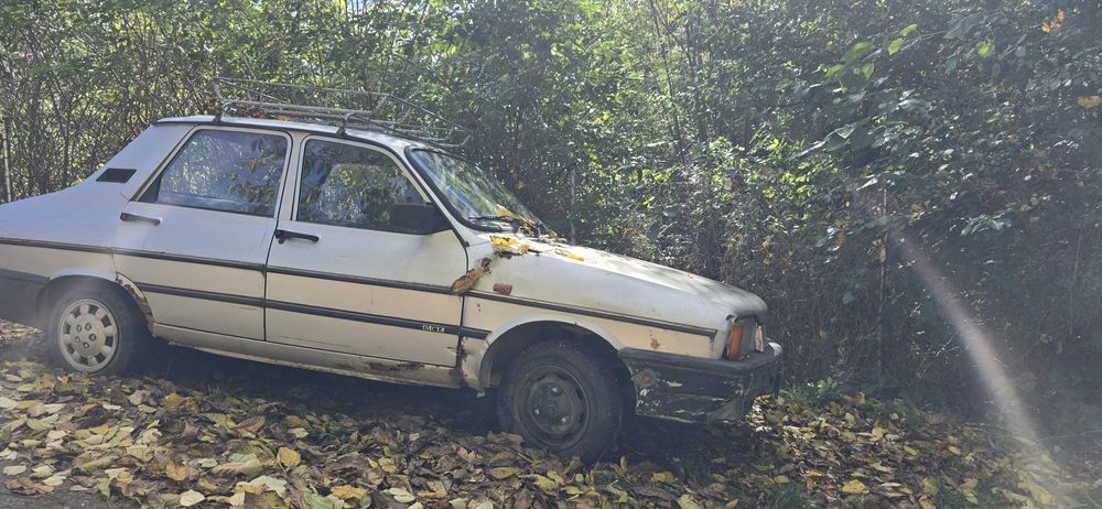 Dacia 1310 pentru RABLA