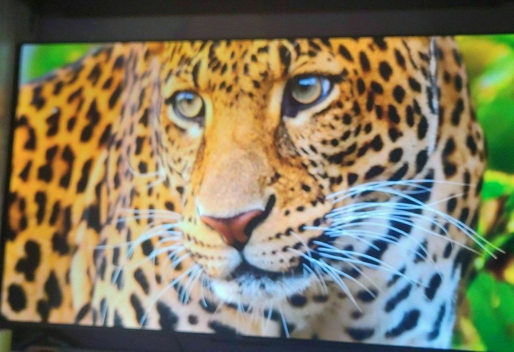 Смарт 55 диагональ почти новый в полном комплекте 2пульта один голосов