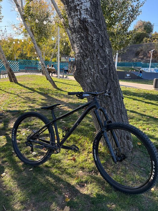 NS Bikes Eccentric Alu EVO 29