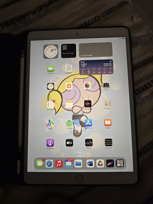 Ipad air с apple pencil стилусом