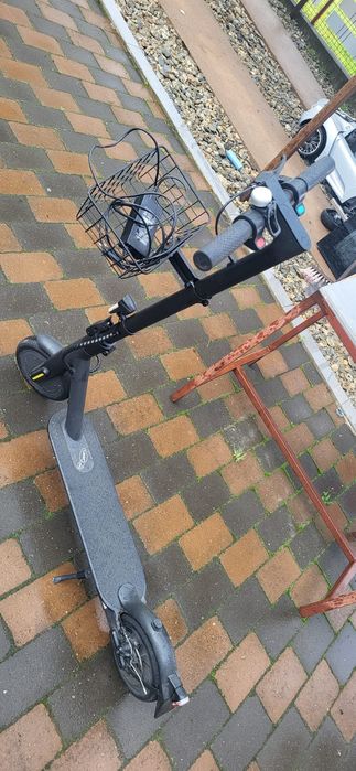 Trotinete denvar
